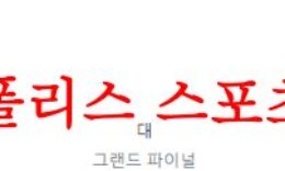 6월3일 호주A리그 멜버른시티FC 센트럴코스트 매리너스FC 분석 먹튀폴리스 0 (0)