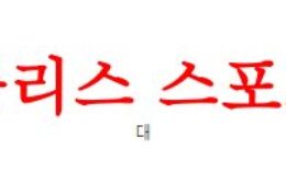 6월21일 A매치 몬테네그로 대 체코 국제친선경기 축구승무패 예상 분석 먹튀폴리스 0 (0)