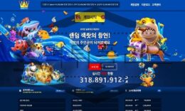 미사일 먹튀사이트 이름을 숨겨서 범죄 사실을 들키지 않으려고 하는 일당 체포 성공 0 (0)