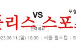 6월11일 K리그 FC서울 포항스틸러스 축구승무패 배당 분석 방법 먹튀폴리스 0 (0)