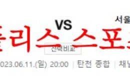 6월11일 K리그2 성남FC 서울이랜드FC 국내축구 2부리그 분석 먹튀폴리스 0 (0)