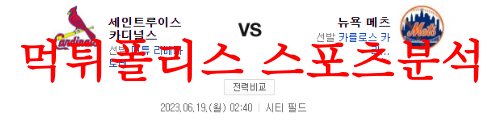 세인트루이스뉴욕메츠