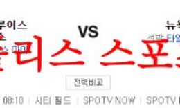 6월17일 MLB 뉴욕 메츠 세인트루이스 카디널스 해외야구 믈브분석 먹튀폴리스 0 (0)