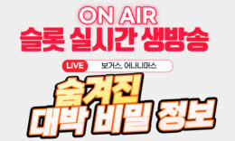 슬롯 실시간 생방송 유튜버 보거스, 어나니머스의 대박 비밀 정보 4.4 (70)