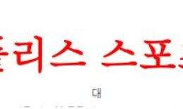 6월17일 A매치 폴란드 대 독일 국제친선경기 축구승무패 예상 먹튀폴리스 0 (0)