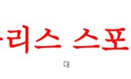 6월20일 A매치 대한민국 대 엘살바도르 국제친선 축구경기 매치예상 분석 먹튀폴리스 0 (0)