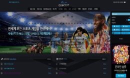CONCERT 신규사이트 공연장에서 민폐를 저지르는 업체인지 궁금해하는 중 0 (0)