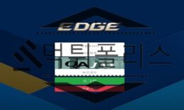 EDGE 신규사이트 중요 포인트를 밀고 있지만 현실은 허접함을 드러내 걱정 중 0 (0)