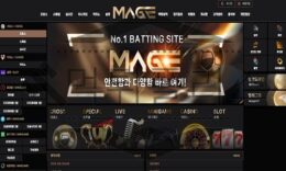 MAGE 신규사이트 존재한 적 없는 현상을 이용해 강도 짓을 하는지 감시 중 0 (0)