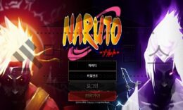 NARUTO 먹튀사이트 회원의 아이피를 수집해 살인 협박을 일삼는 악질 검거 0 (0)