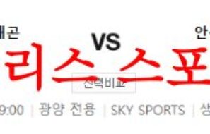 7월19일 K리그2 전남 드래곤즈 안산 그리너스FC 경기내용 분석 먹튀폴리스