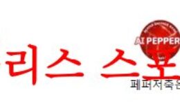 7월31일 KOVO컵 페퍼저축은행 AI페퍼스 현대건설 힐스테이스 배구분석 먹튀폴리스 0 (0)