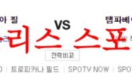 7월5일 MLB 탬파베이 레이스 필라델피아 필리스 미국프로야구 예측 먹튀폴리스 0 (0)