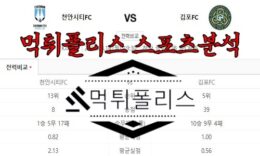 8월14일 K리그2 천안시티FC 김포FC 국내 축구 분석 0 (0)
