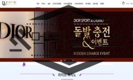 DIOR 신규사이트 명품 브랜드의 힘을 도둑질해서 이용하다 결국 도망가는 중 0 (0)