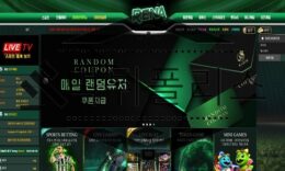 RENA 신규사이트 아무 여자 이름이나 가져다 붙여 음지에 숨어있는 것을 의심 중 0 (0)