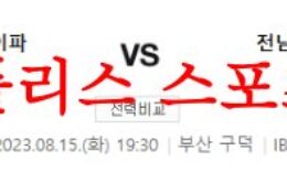 8월15일 K리그2 부산아이파크 전남드래곤즈 국내 축구일정 및 프리뷰 먹튀폴리스 0 (0)