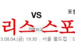 8월4일 K리그 FC서울 포항스틸러스 국내축구 1부리그 결과예측 분석 먹튀폴리스 0 (0)