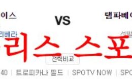 8월11일 MLB 탬파베이 레이스 세인트루이스 카디널스 메이저리그 분석 먹튀폴리스 0 (0)