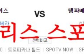 8월11일 MLB 탬파베이 레이스 세인트루이스 카디널스 메이저리그 분석 먹튀폴리스