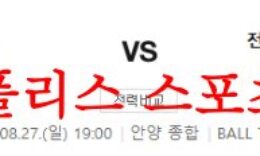 8월28일 K리그2 FC안양 전남드래곤즈 국내 스포츠 경기 예상분석 먹튀폴리스 0 (0)