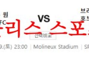 8월19일 프리미어리그 울버햄튼 원더러스 브라이튼 앤 호브알비온 분석 먹튀폴리스