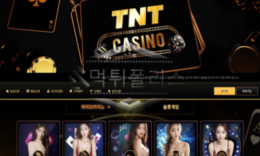 티앤티 신규사이트 많은 먹튀를 하고 이름만 변경했는지 확인 중! 0 (0)