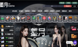 묵월 신규사이트 검은 달이란 무언가 어두운 기운을 느끼게 하기에 몰래 취재 중 0 (0)