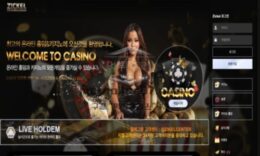 지켈 카지노 먹튀사이트 가입포인트로 홍보 후 이유 없이 먹튀하는 먹튀사이트 검거! 0 (0)
