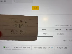 라이즈 카지노 카지노 사이트 입점 완료 - 보증금 8억