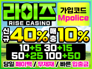 라이즈카지노