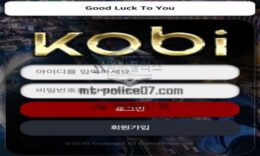 코비 토토 신규사이트 블랙맘바를 기리기 위해서 코비 팬이 오픈한 건지 확인 중 0 (0)