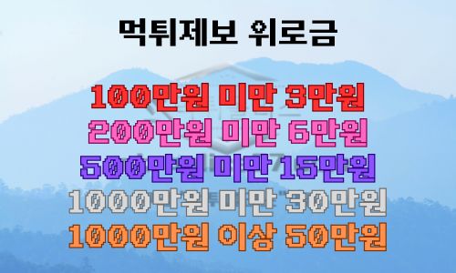 먹튀제보